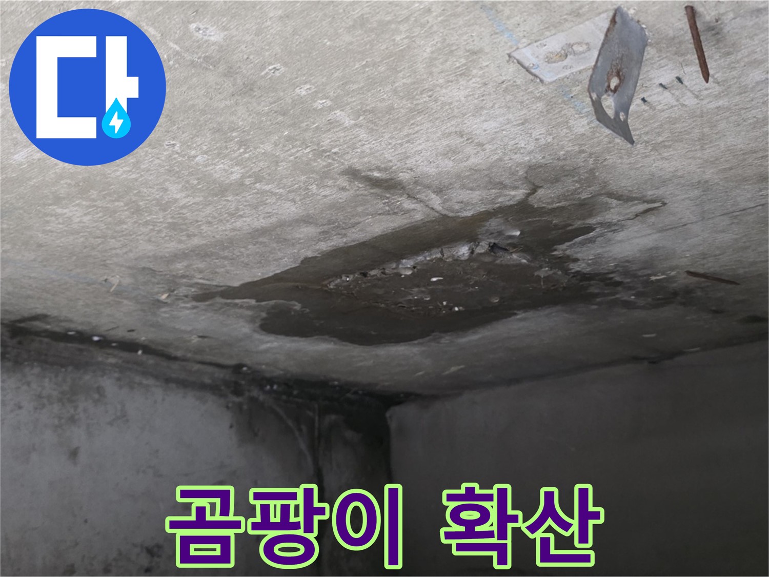 계속 확산되는 아래층 화장실 곰팡이 - 남양주 오남 아파트 누수
