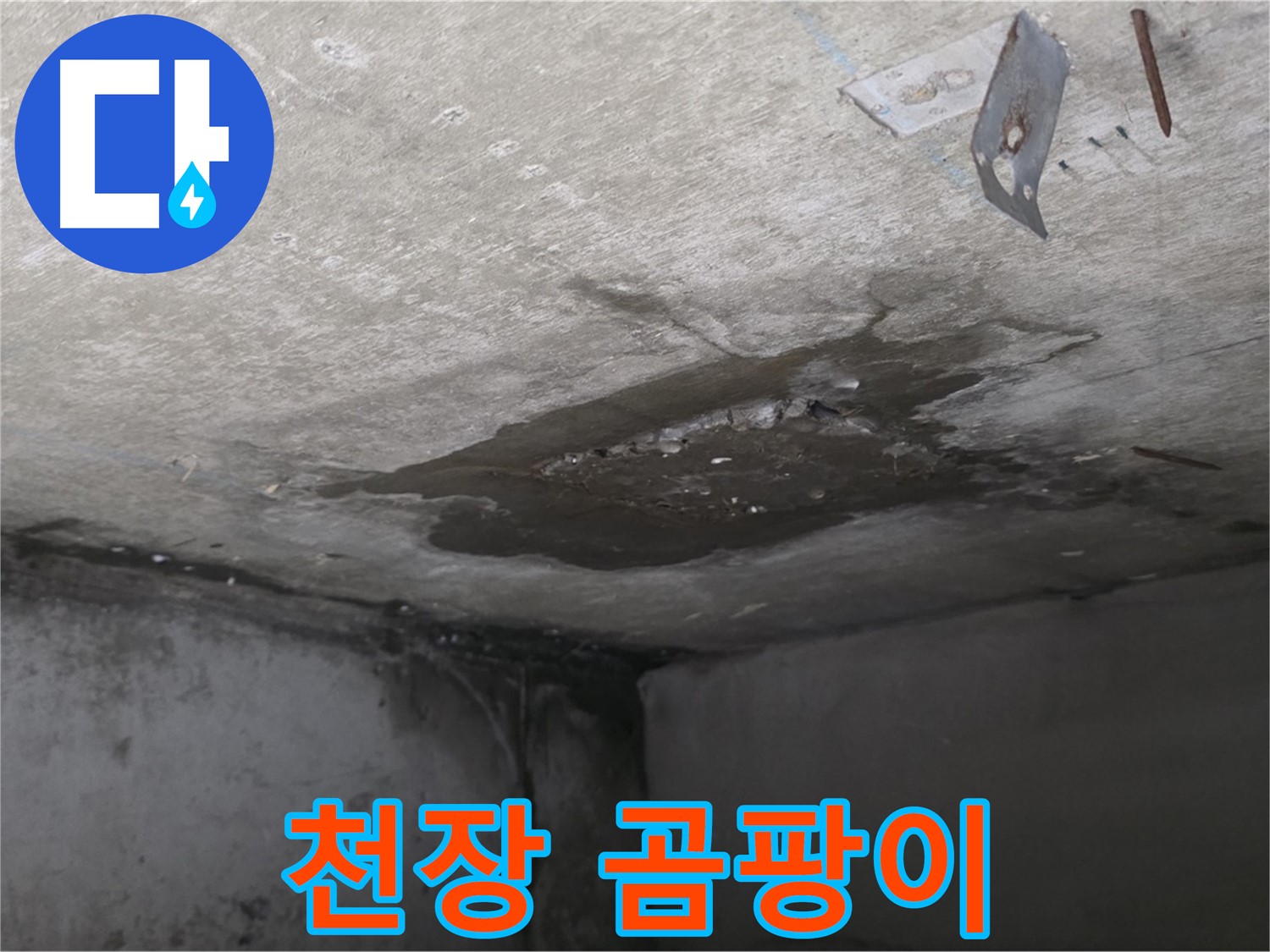 곰팡이로 뒤덮인 콘크리트 천장 - 남양주 오남 누수