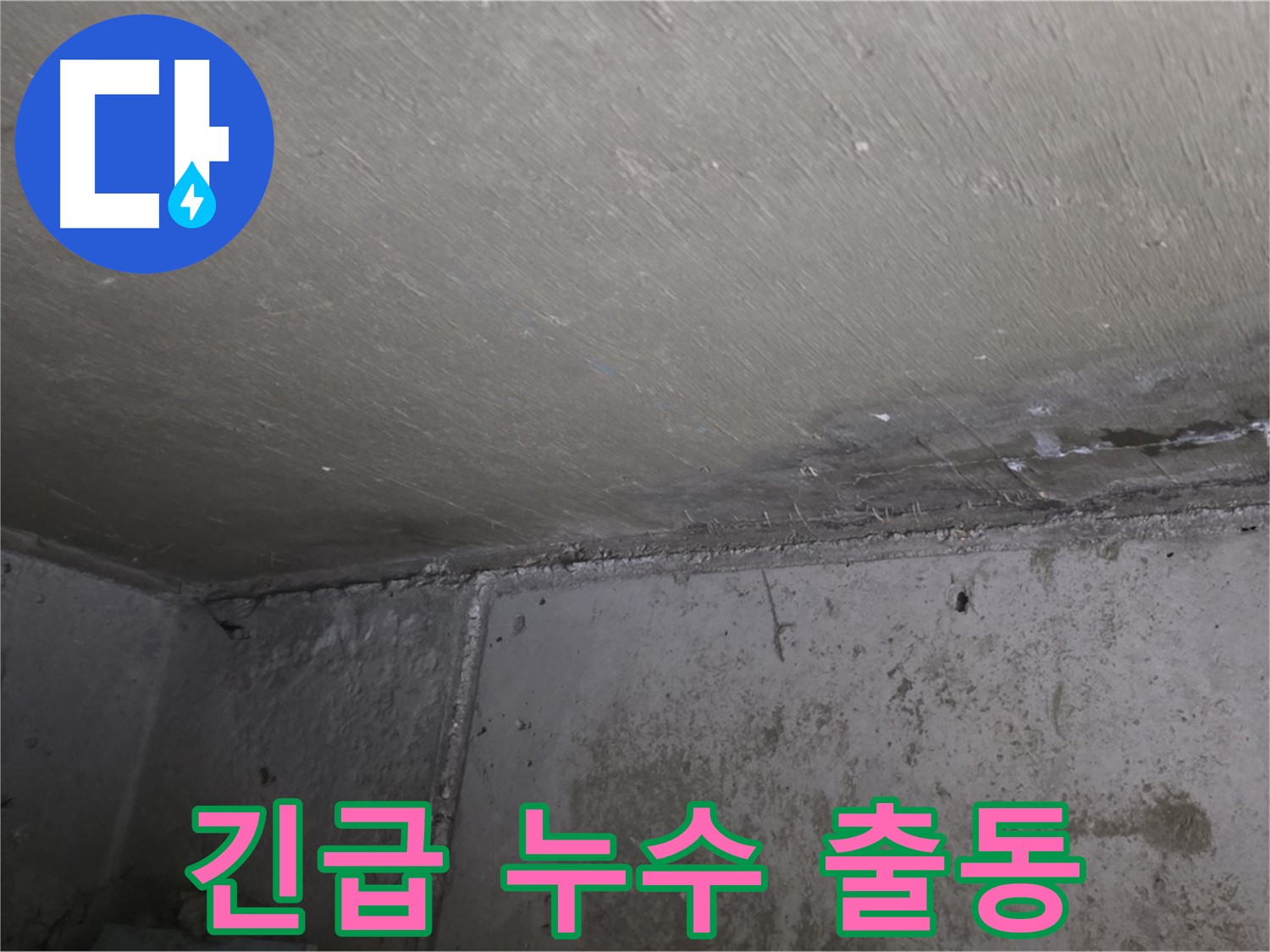 남양주 오남 누수 긴급 출동 - 천장 곰팡이 문제 해결