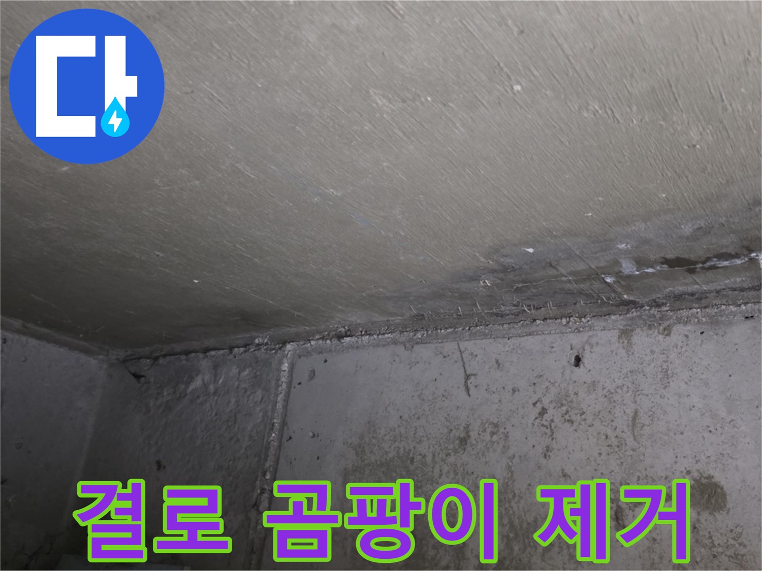남양주 오남 두산아파트 벽 곰팡이 제거 - 쾌적한 공간