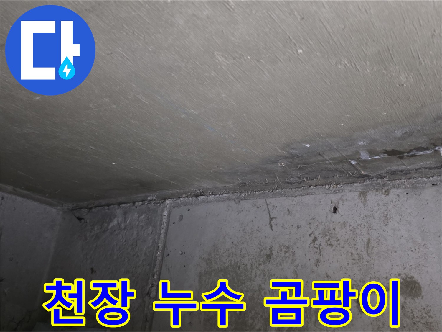 남양주 오남리 아파트 천장 곰팡이 - 심각한 누수