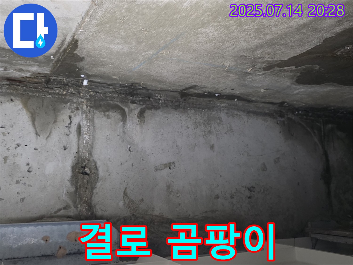 남양주 오남읍 두산아파트 지하 - 결로와 곰팡이 의심 부위 무료 진단