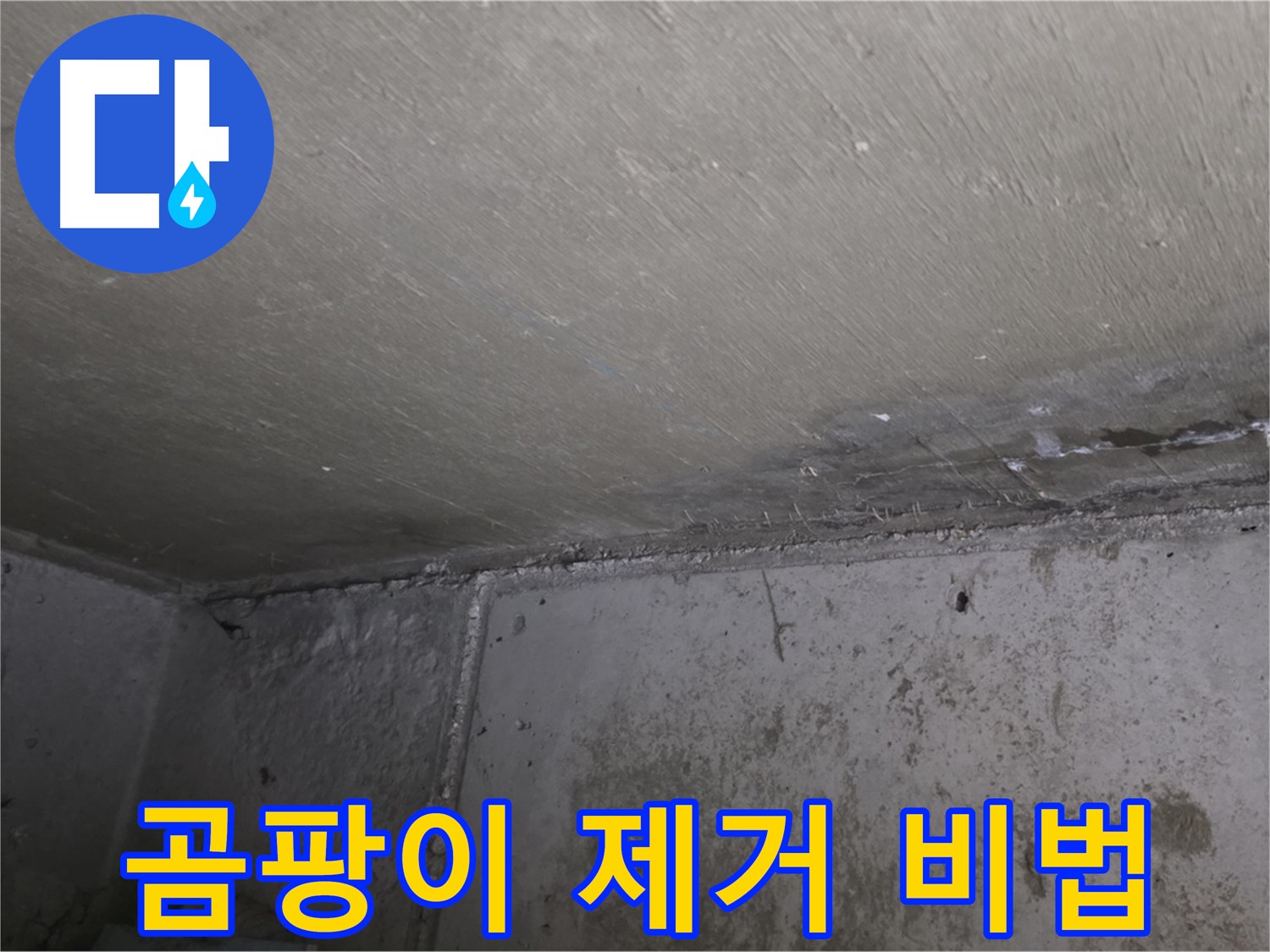 오남 두산아파트 천장 누수 곰팡이 제거 비법 공개