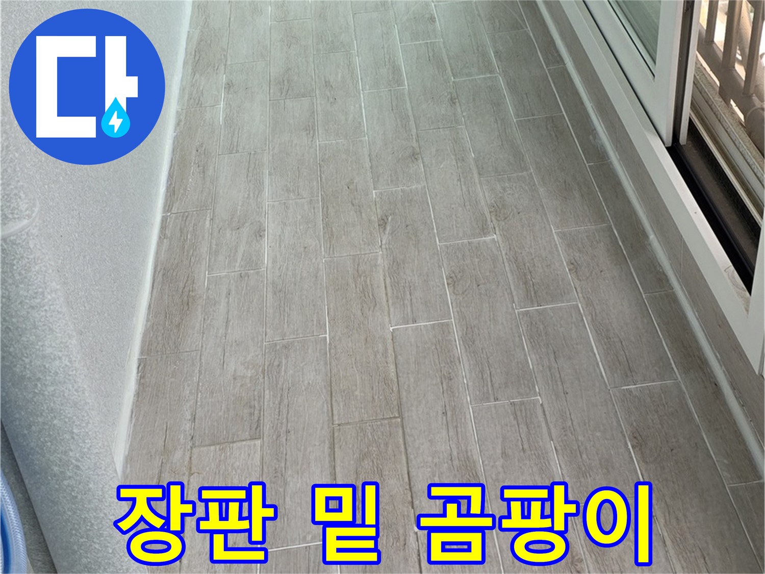노원구 중계동 청구3차 아파트 장판 밑 곰팡이 - 누수 의심