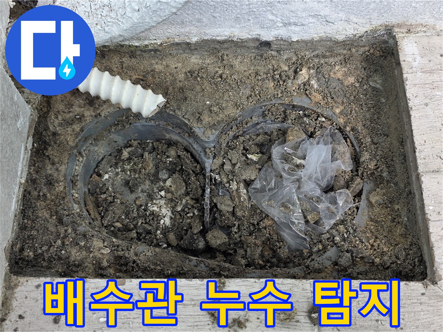 노원구 중계동 청구3차 아파트에서 배수관 누수 탐지 작업을 하고 있습니다 - 정확한 탐지로 누수 문제 해결!