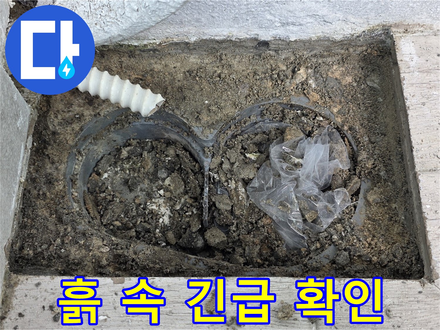 노원구 중계동 청구3차 아파트에서 배수구 하단 흙 속 누수를 긴급하게 확인하고 있습니다 - 신속한 확인으로 피해 최소화!