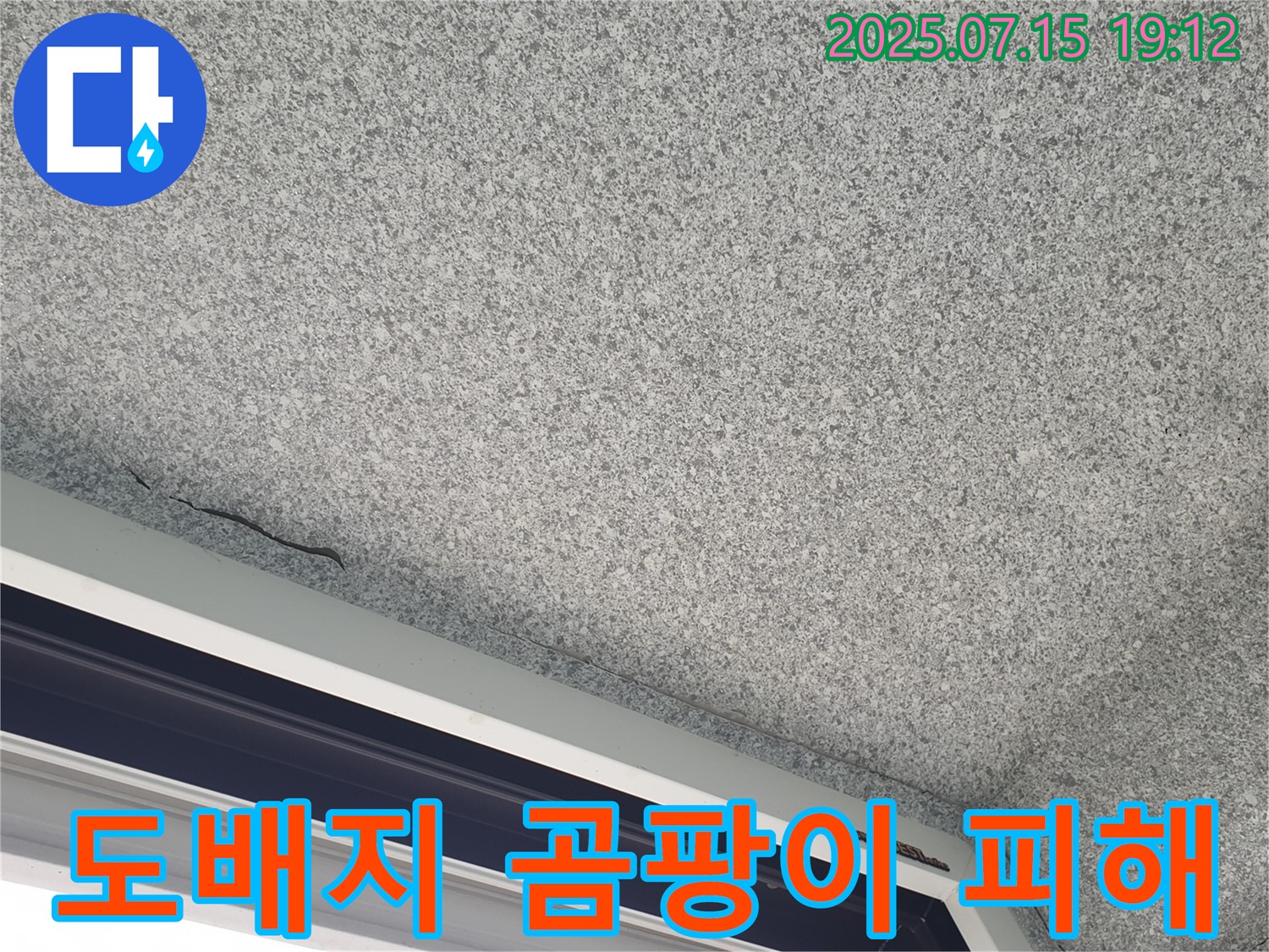 중계3동 청구3차 아파트 도배지 곰팡이 - 누수 2차 피해 심각 - 건강 위협