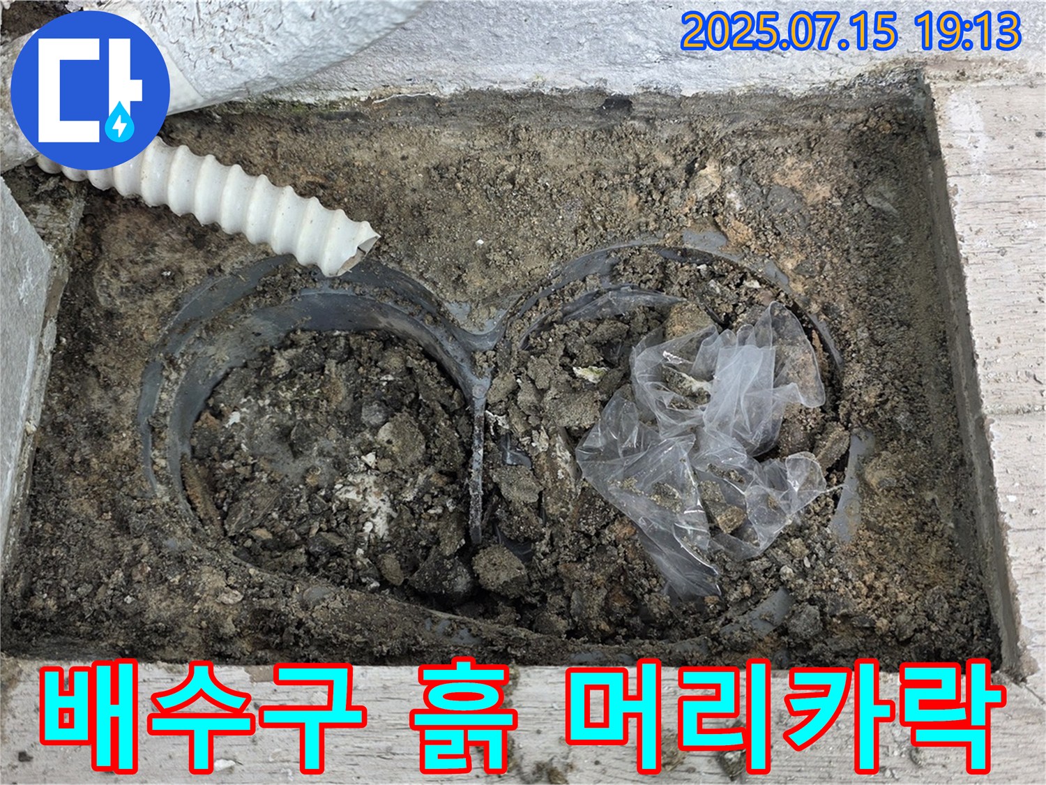 중계3동 청구3차 아파트 베란다 배수구 - 흙과 함께 엉킨 머리카락, 꼼꼼하게 제거