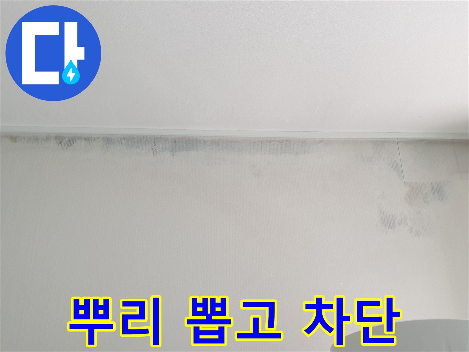 중계동 아파트 곰팡이 - 뿌리 뽑고 누수 완벽 차단