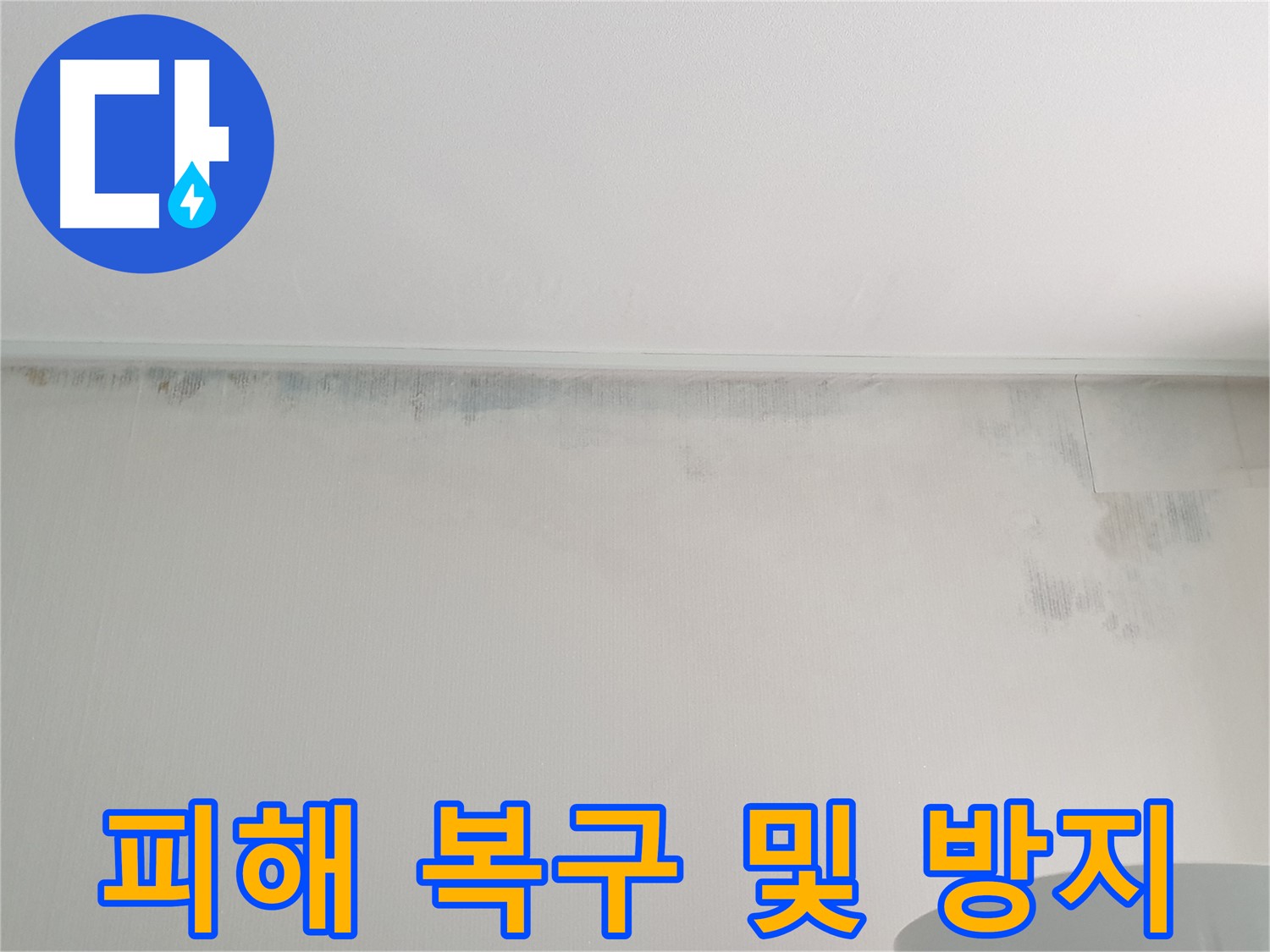 중계동 아파트 천장 누수 - 곰팡이 피해 복구 및 재발 방지