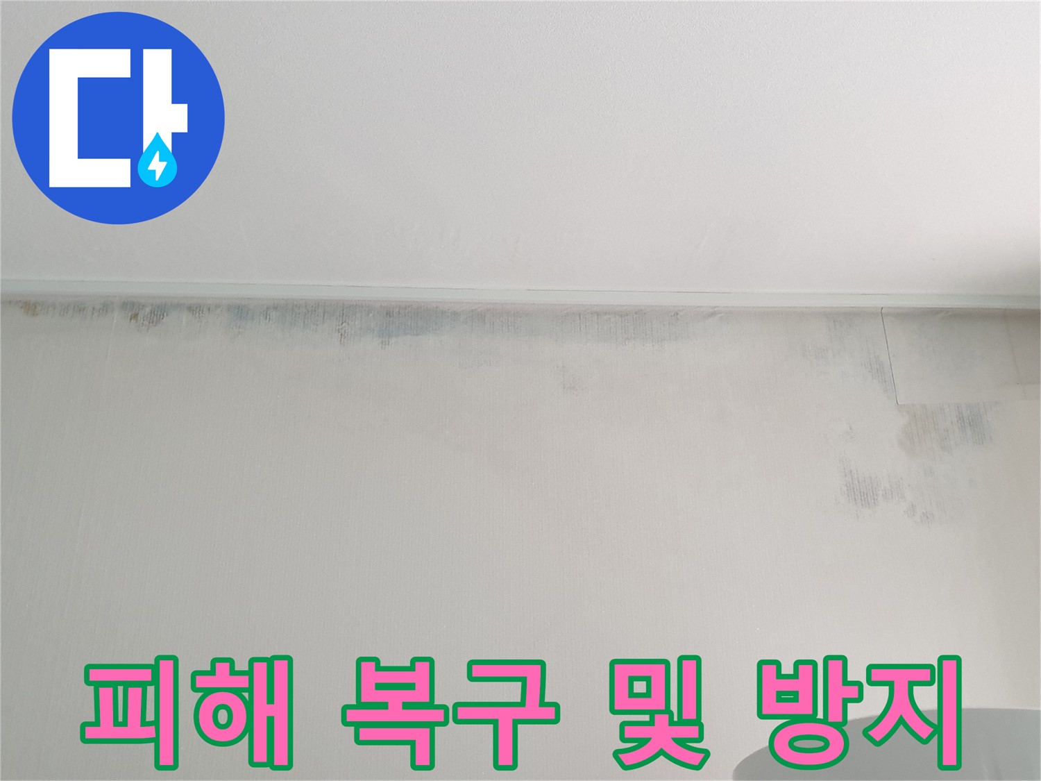 중계동 아파트 천장 누수 - 곰팡이 피해 복구 및 재발 방지