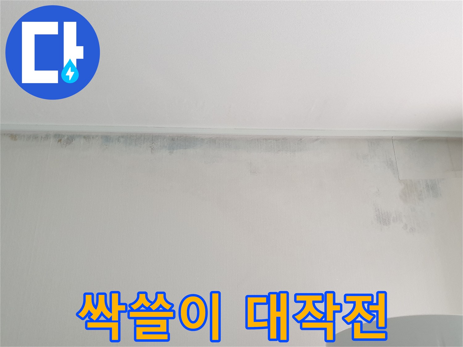 중계동 청구3차 곰팡이 - 곰팡이 싹쓸이 대작전