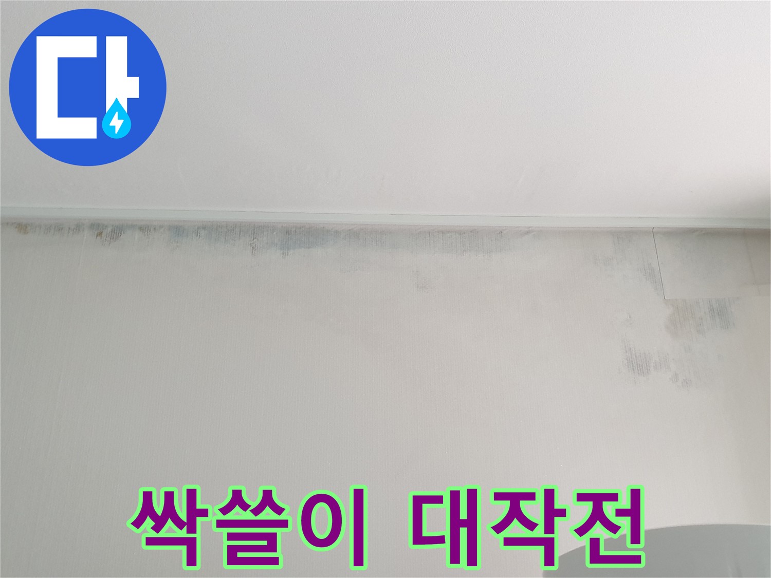 중계동 청구3차 곰팡이 - 곰팡이 싹쓸이 대작전