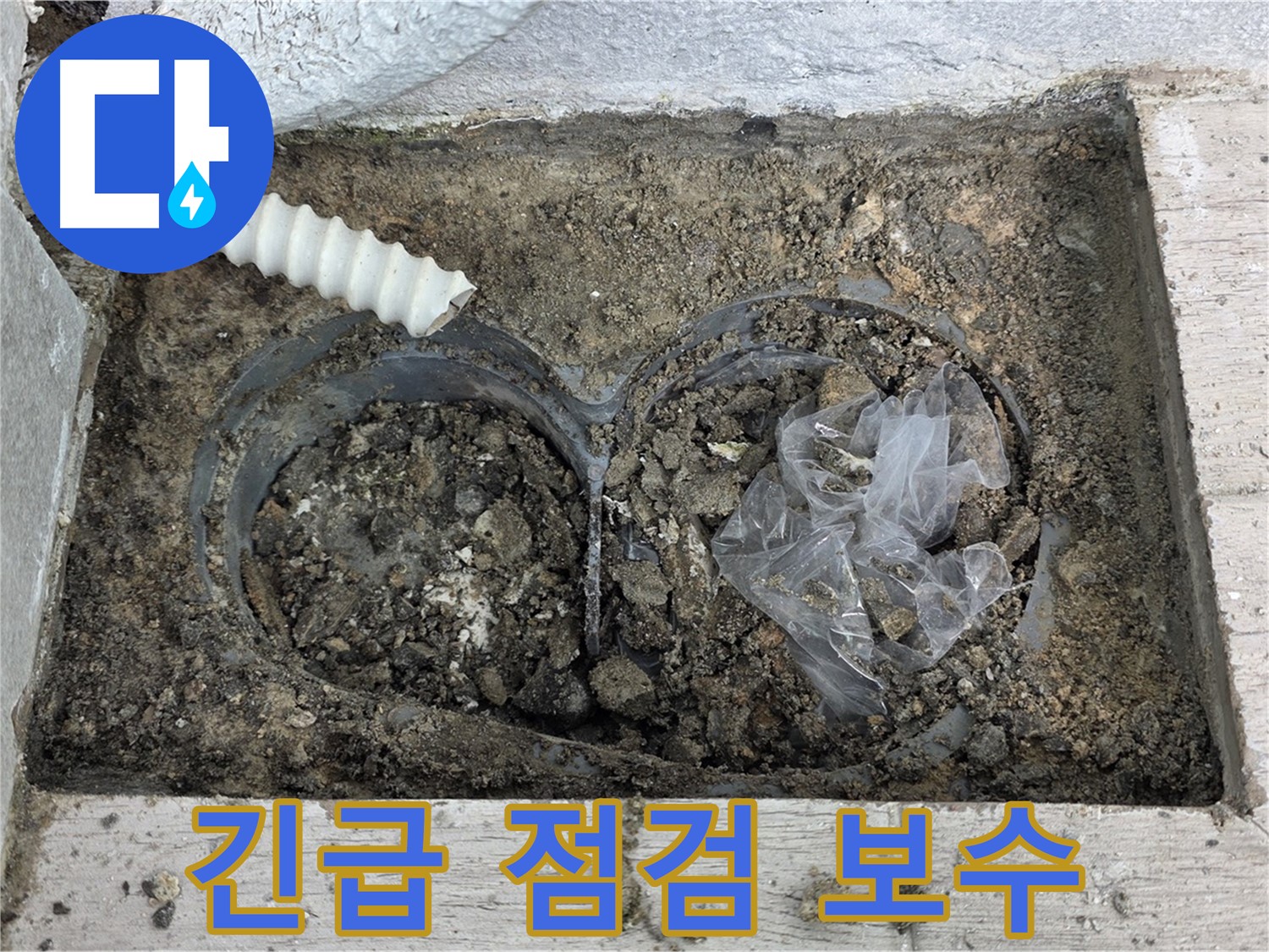 중계동 청구3차 아파트에서 배수구 주변 긴급 누수 점검 및 보수를 진행하고 있습니다 - 신속한 조치로 피해 최소화!