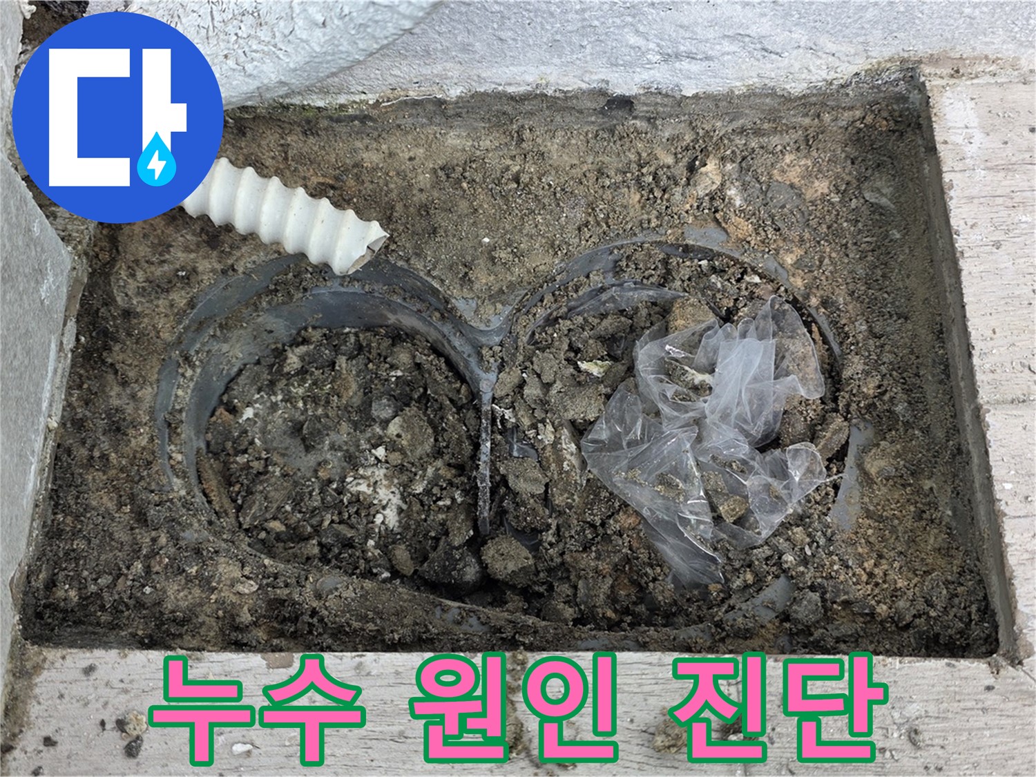 중계동 청구3차 아파트에서 배수구 주변 누수 원인을 진단하고 있습니다 - 정확한 진단으로 재발 방지!