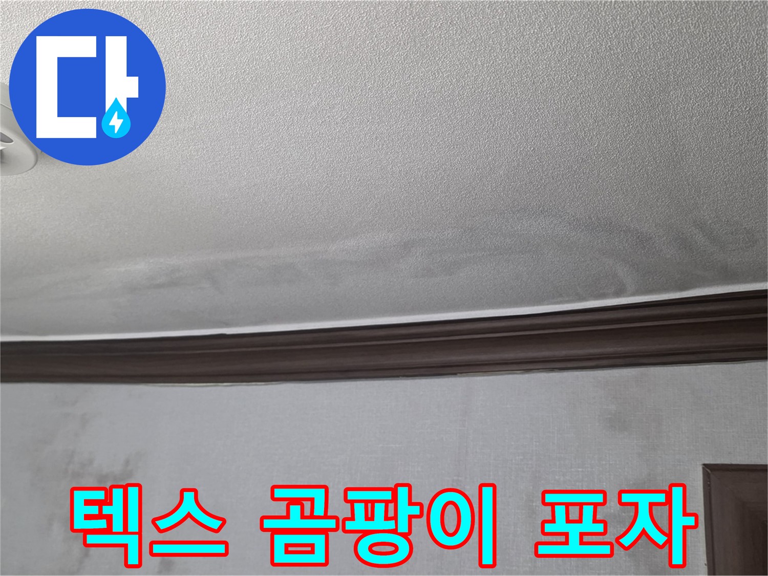 강북구 미아동 빌라 천장 누수 - 텍스 곰팡이 포자는 건강에 매우 해로움
