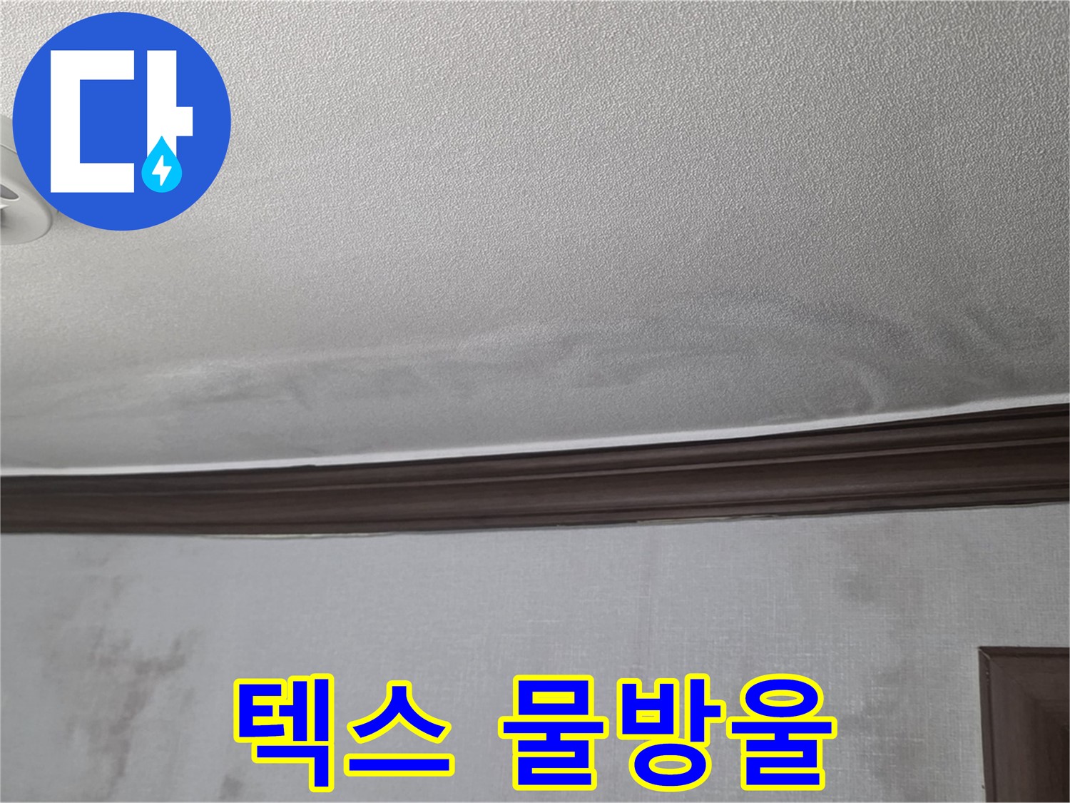 강북구 미아동 빌라 천장 누수 - 텍스에 맺힌 물방울은 현재 진행 중인 누수의 명확한 증거