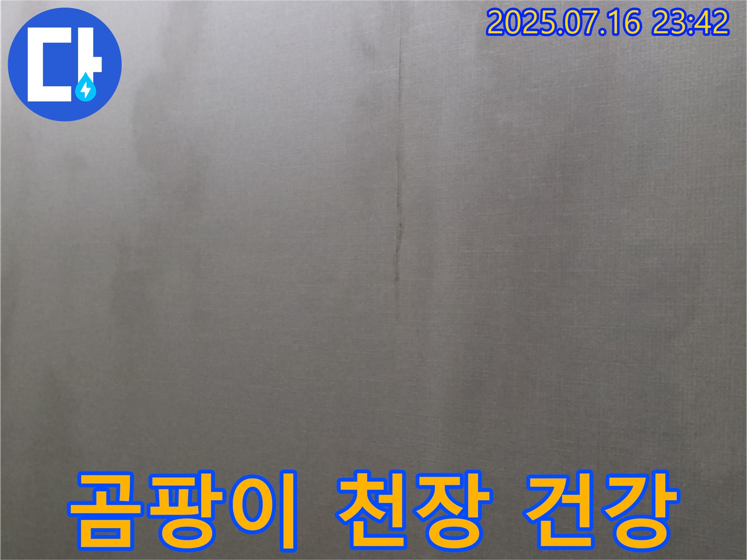곰팡이 천장에서 벗어나 건강을 되찾으세요 - 누수 문제 해결로 쾌적한 환경을 만드세요.