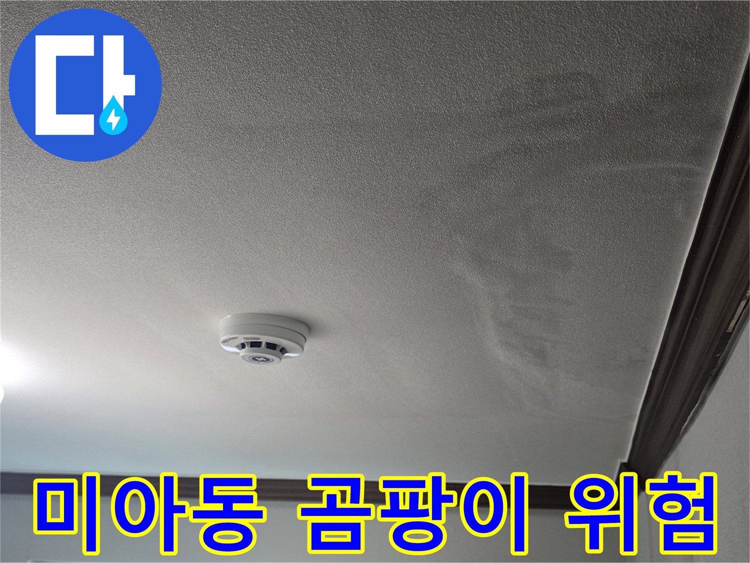 미아동 빌라 누수 - 젖은 천장, 곰팡이 발생 위험이 있습니다