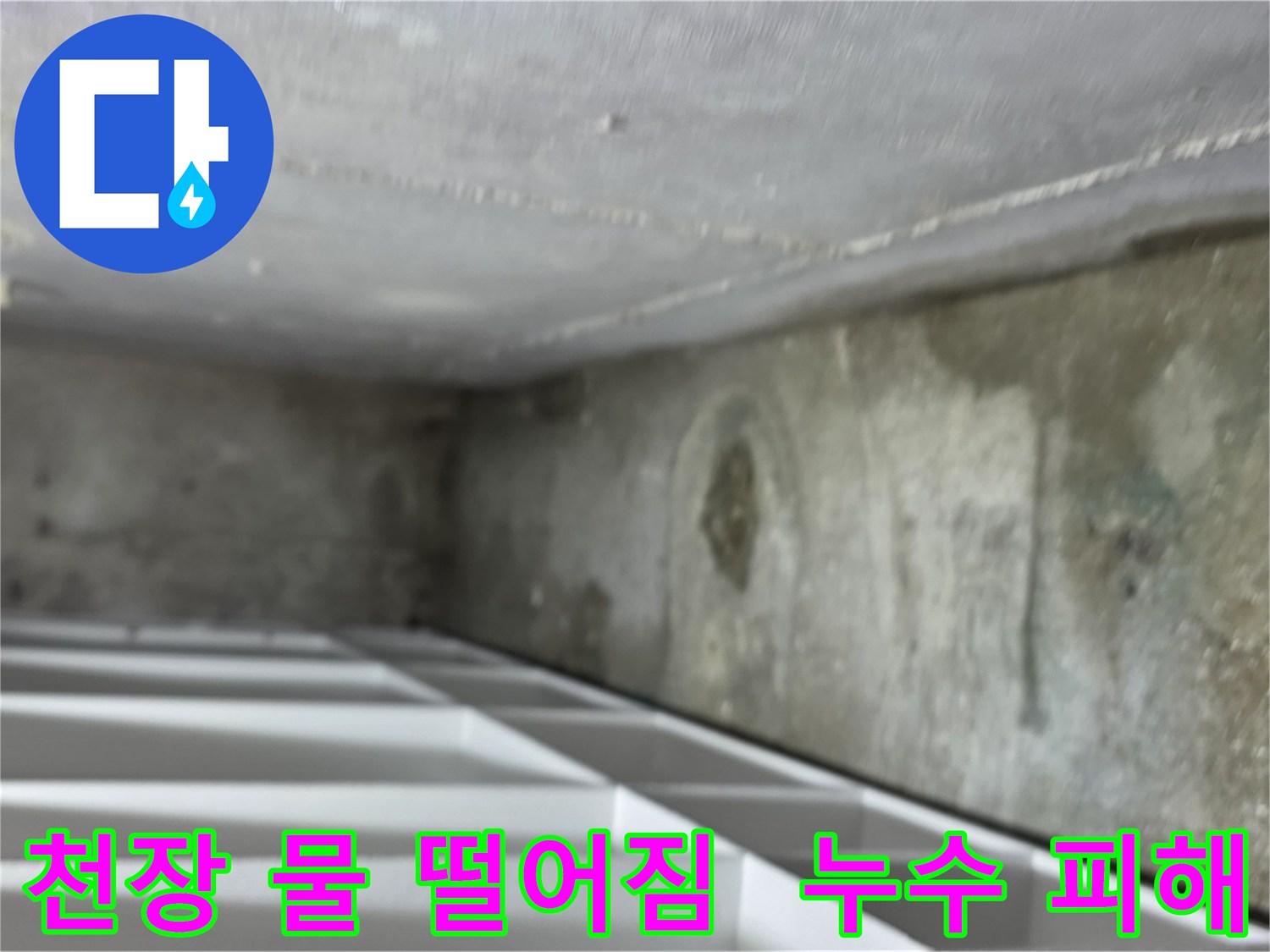 김포 마산동 상가 천장 물 떨어짐 누수 - 천장에서 물이 떨어지고 있어 누수 피해가 발생하고 있는 이미지