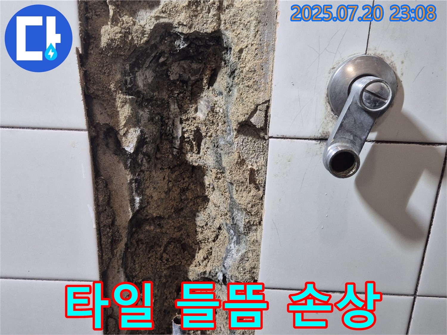 합정동 현대빌라 욕실 - 샤워기 수전 주변 타일 들뜸 및 백시멘트 손상 확인