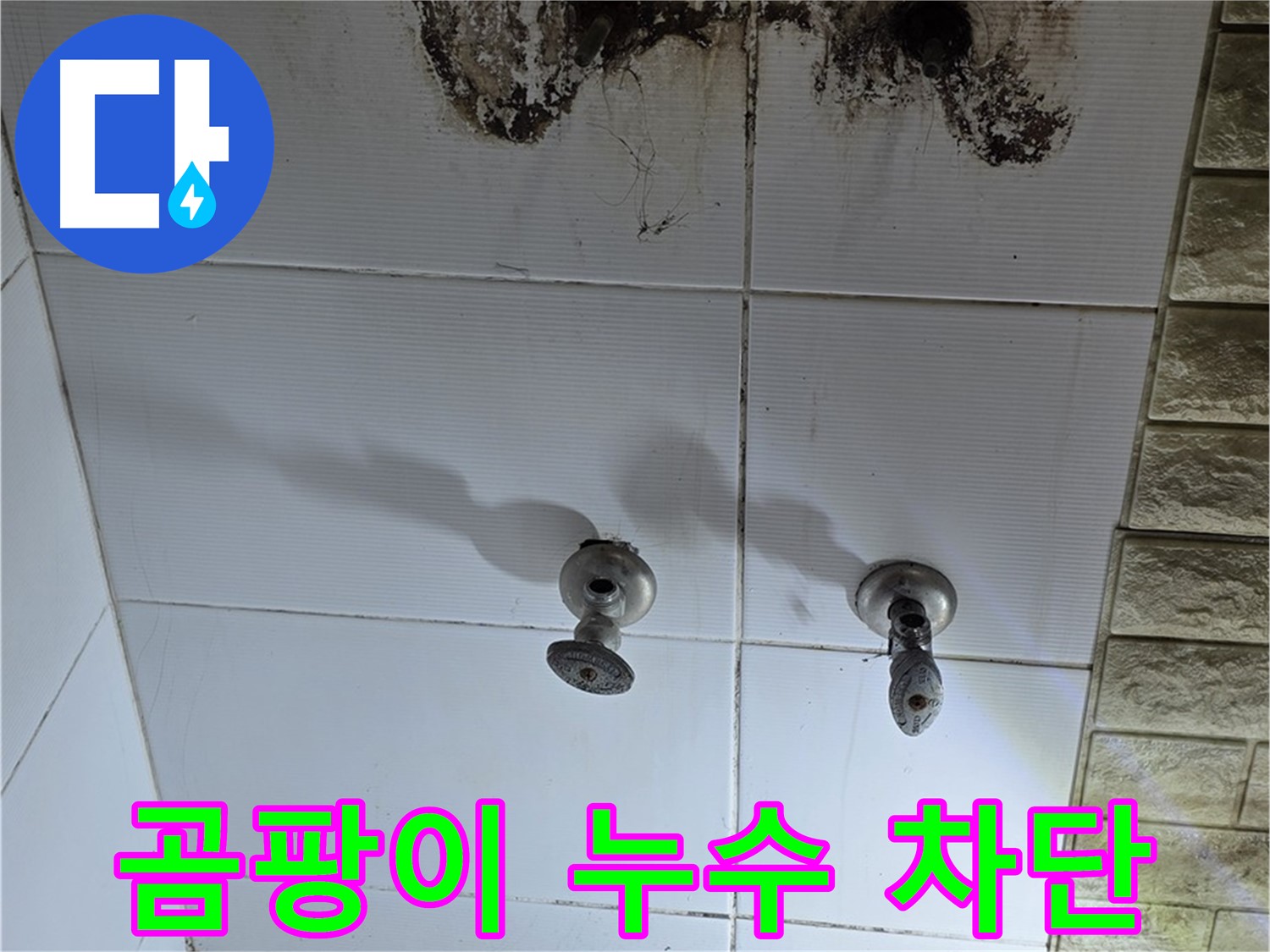 노원구 곰팡이 핀 욕실 벽 - 누수탐지 전문 기술로 곰팡이와 누수를 완벽하게 차단합니다.