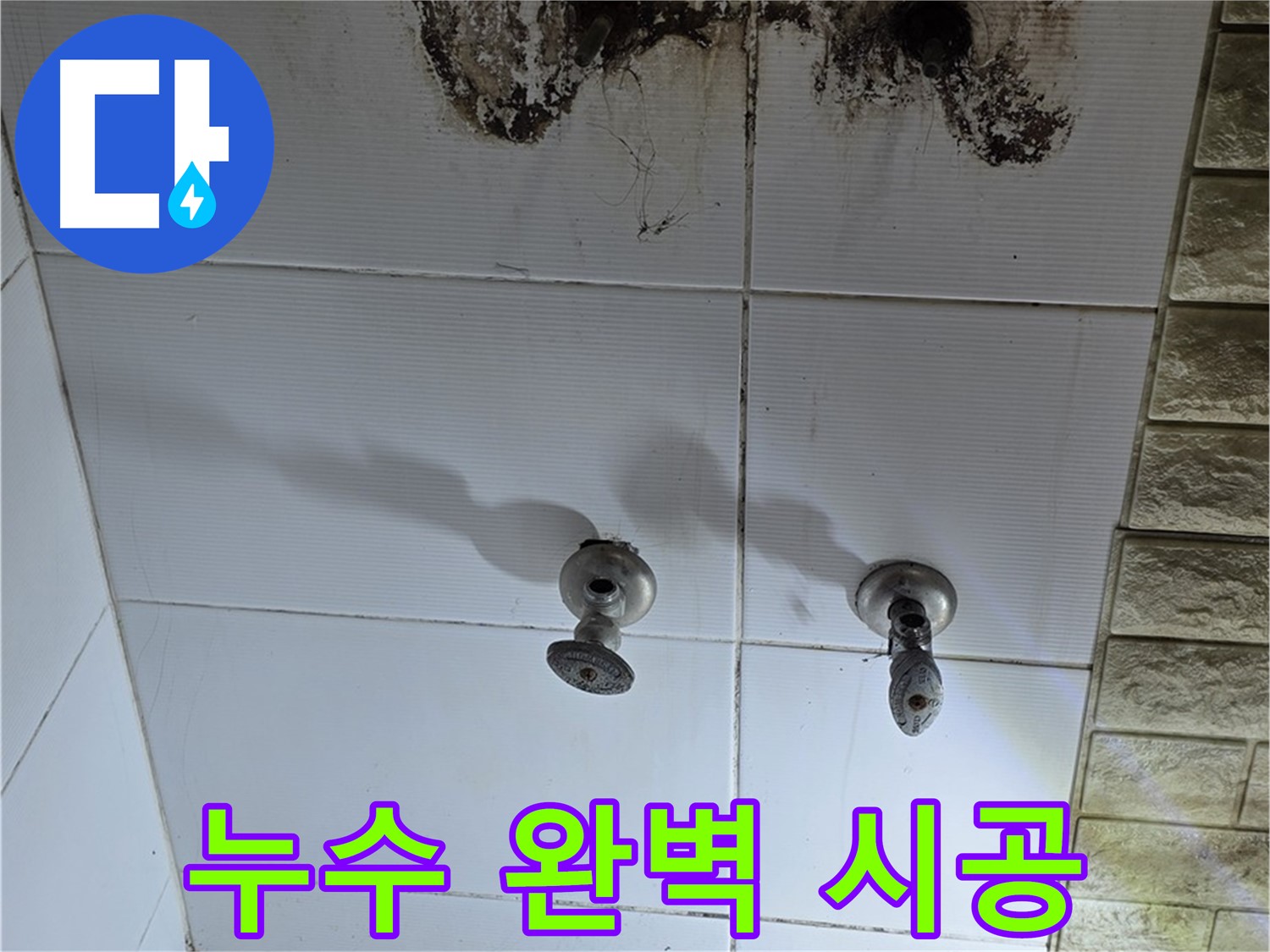 노원구 상계동 곰팡이 핀 욕실 벽 - 정확한 누수 진단과 완벽한 시공으로 쾌적한 욕실 환경을 만들어 드립니다.