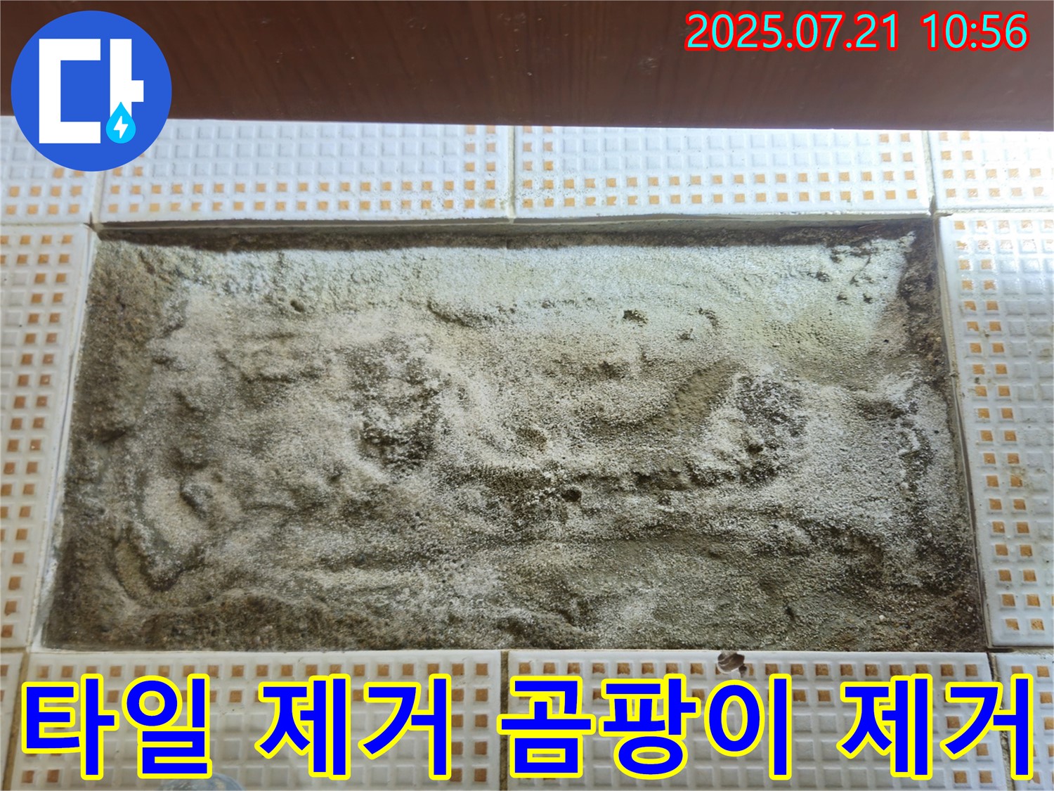 노원구 상계동 - 타일 제거 후 곰팡이 제거 - 쾌적한 환경 조성