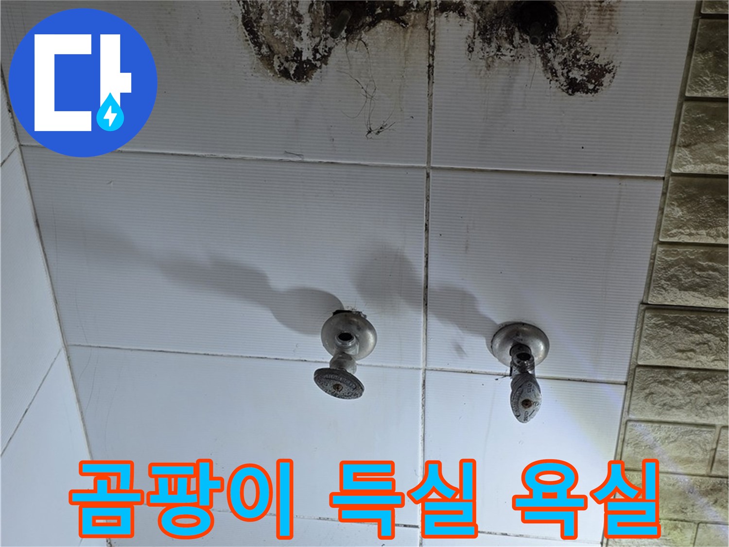 상계동 빌라 곰팡이 득실거리는 욕실 - 누수 해결하고 쾌적한 공간으로 변신시켜 드립니다.
