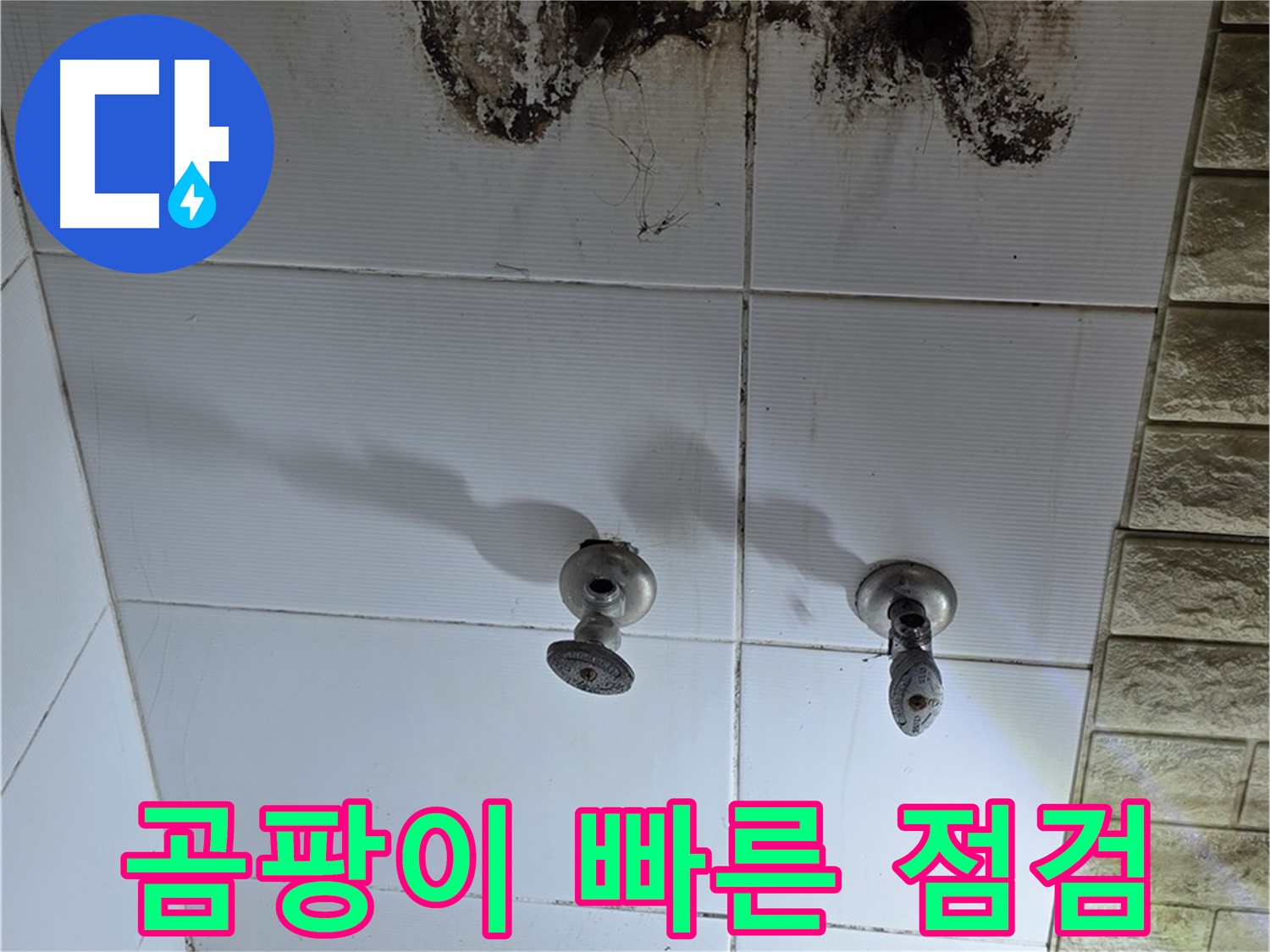 상계동 욕실 곰팡이 방치 금지 - 빠른 점검과 해결로 건강하고 쾌적한 욕실을 만드세요.
