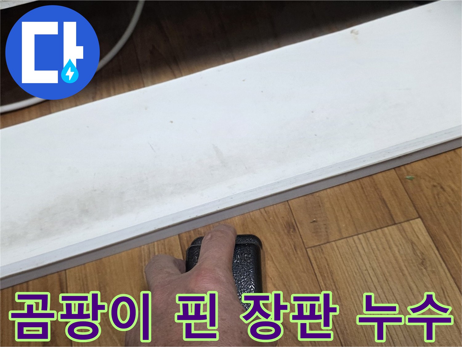 곰팡이 핀 장판 누수 - 진건읍 사릉리 누수탐지 전문가가 완벽하게 복구해 드립니다.