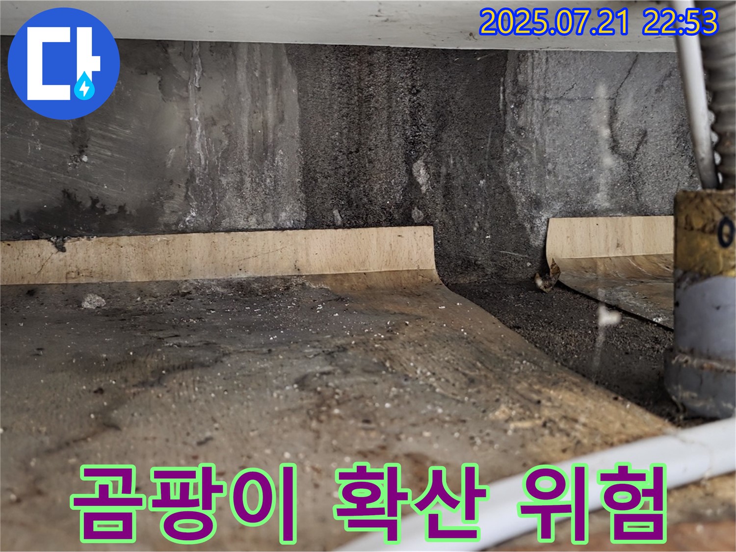 진건읍 사릉리 싱크대 하부 - 나무 합판이 젖어 곰팡이가 활짝 피었다면 집안 전체로 확산될 위험이 있습니다!
