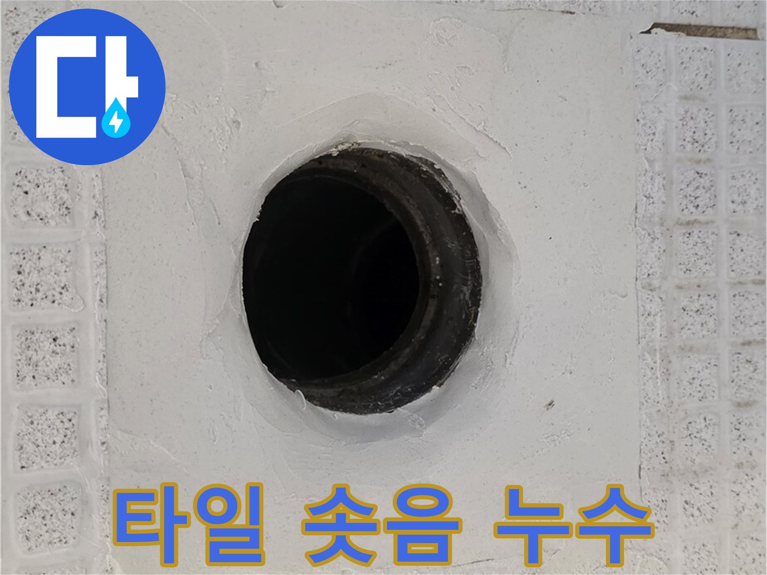 과천 문원동 욕실 누수 - 배수구 주변 타일 솟음, 누수 신호 점검
