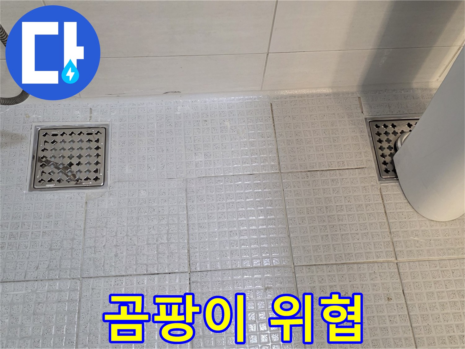 과천 문원동 욕실 - 배수구 주변 곰팡이는 건강을 위협할 수 있습니다 - 즉시 제거하세요