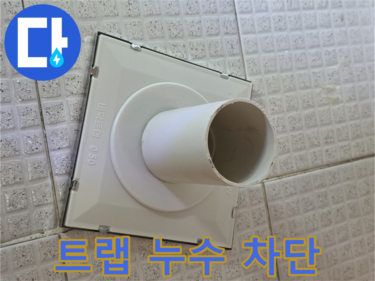 과천 문원동 욕실 하수구 - 누수 제로를 위한 완벽 차단 프로젝트