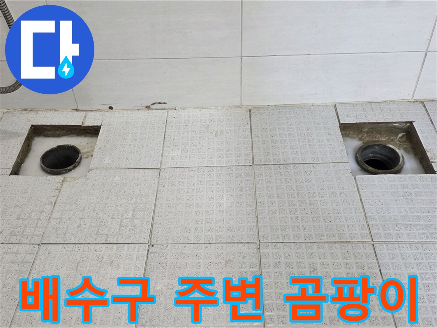 과천 주공5단지 욕실 - 배수구 주변 곰팡이 흔적 - 누수가 오래된 것 같아요.