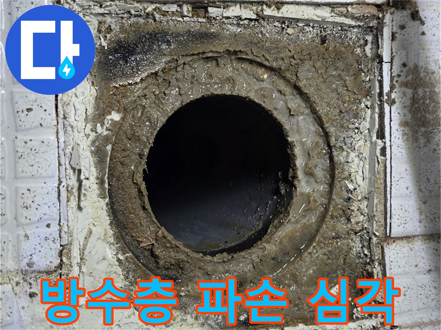 세인트빌 욕실 누수, 유가 주변 방수층 파손 심각 - 정밀 진단 후 완벽 보수