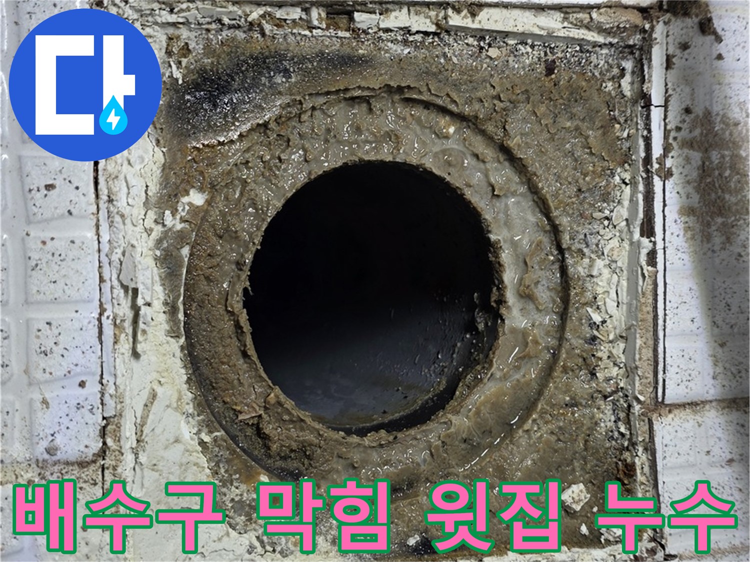 세인트빌 욕실 유가 배수구 막힘 - 역류로 인한 윗집 누수 유발 가능성
