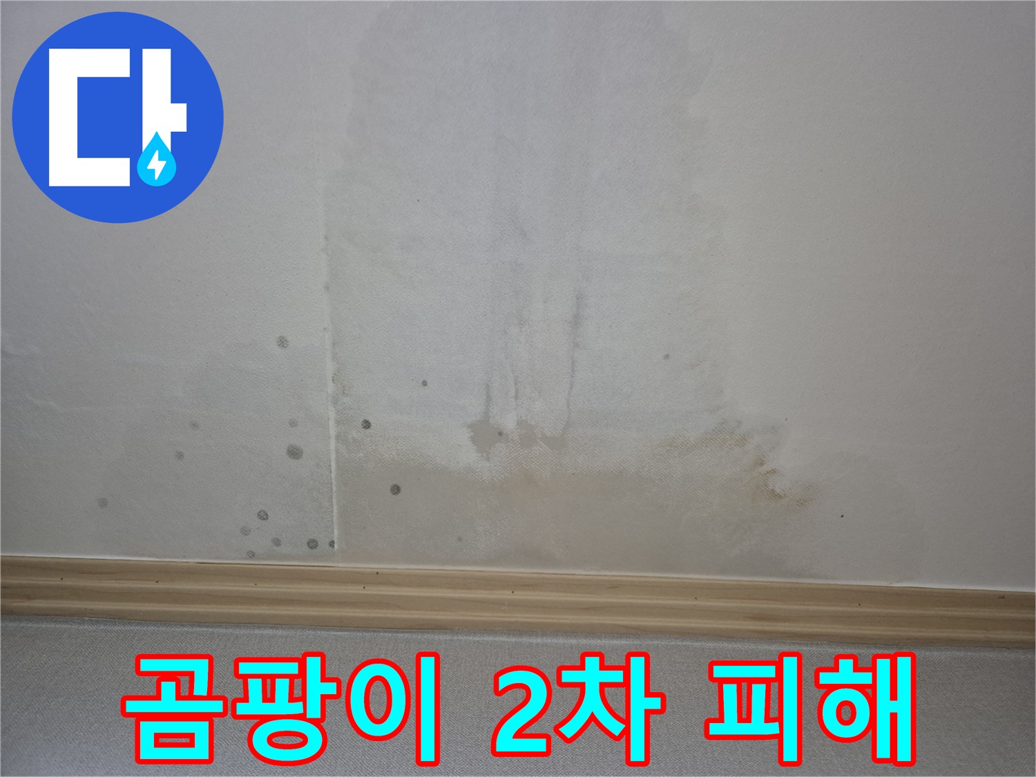 곰팡이 핀 벽으로 인한 2차 피해 - 전기 합선, 건물 부식 등 위험 요소 강조