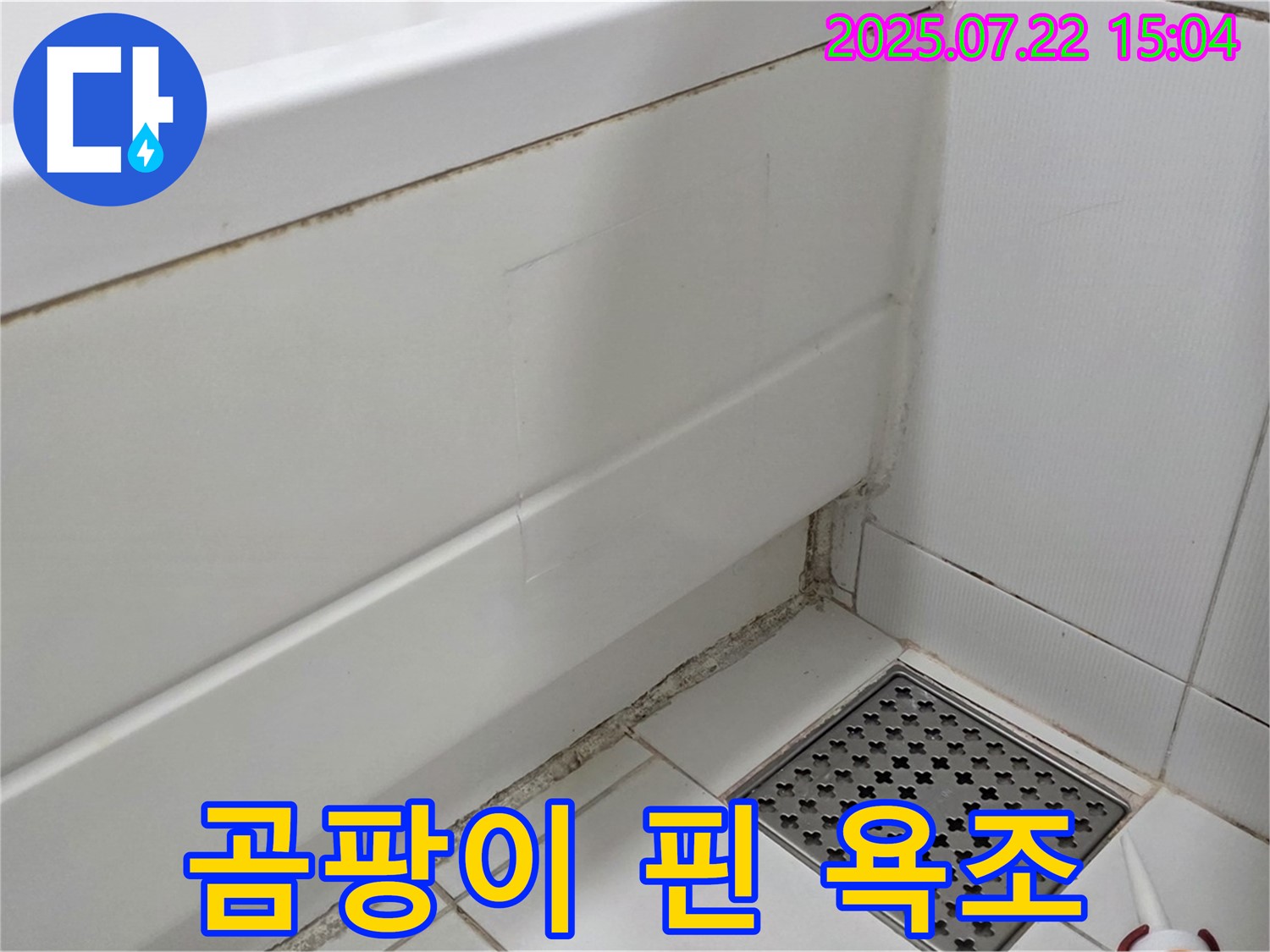 일산 가좌동 욕조 곰팡이 - 곰팡이 제거와 누수 해결로 깨끗한 욕실 만들기