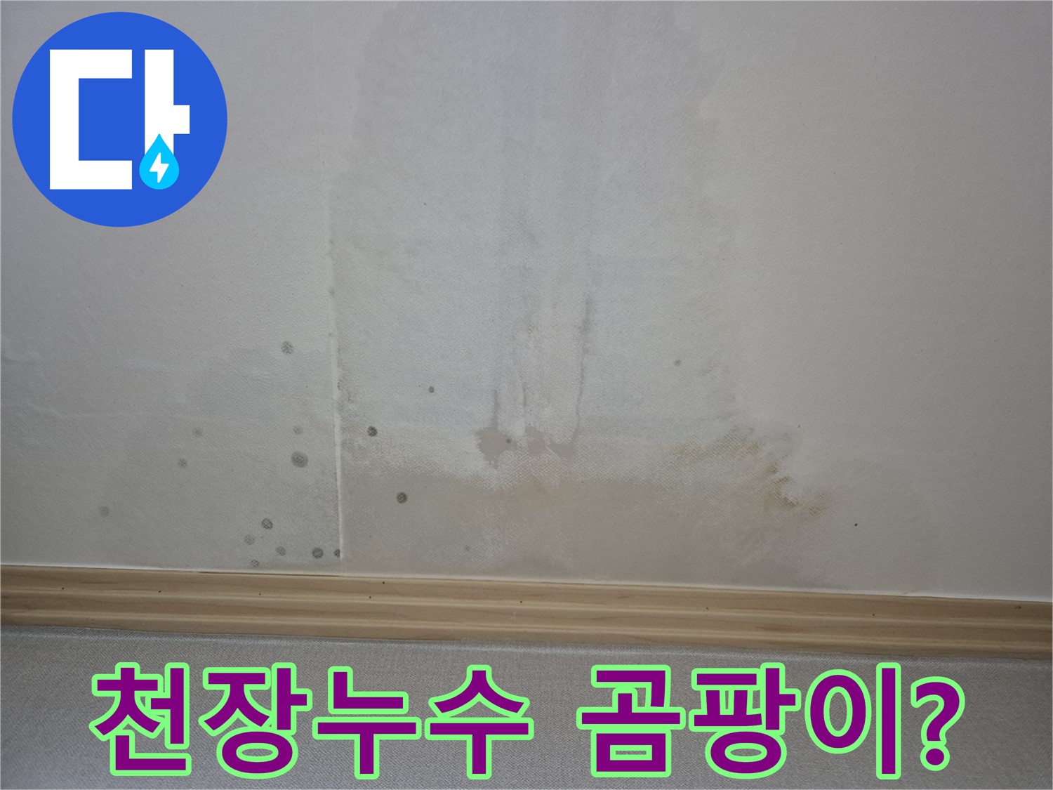 천장의 얼룩 - 곰팡이 발생 가능성을 시사하는 사진