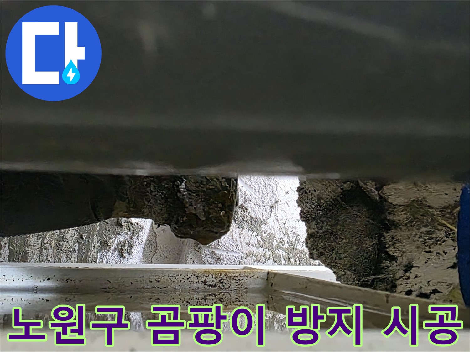노원구 아파트 세탁실 누수 - 곰팡이 방지 시공으로 깨끗하게 해결