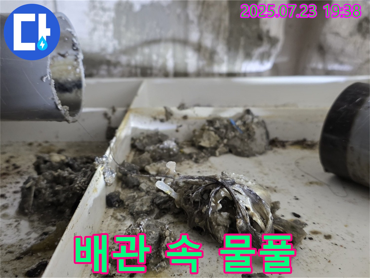 노원구 중계동 라이프청구신동아 아파트 누수 - 배관 속 물풀을 찾아 누수 문제를 해결했습니다 - 물풀은 배관에 버리지 마세요.