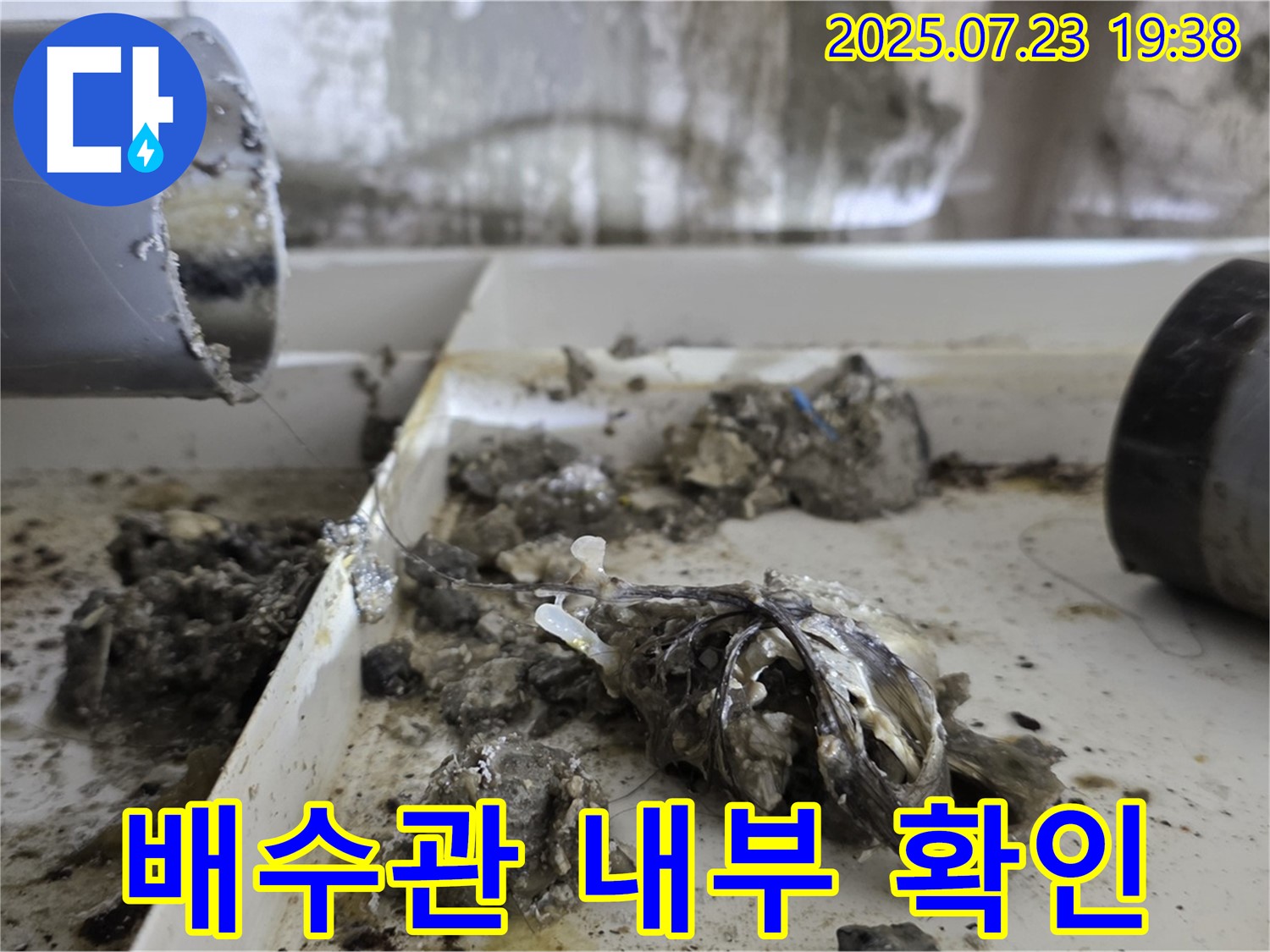 노원구 중계동 라이프청구신동아 아파트 배수관 내부 상태 점검 - 전문 장비로 꼼꼼하게 확인