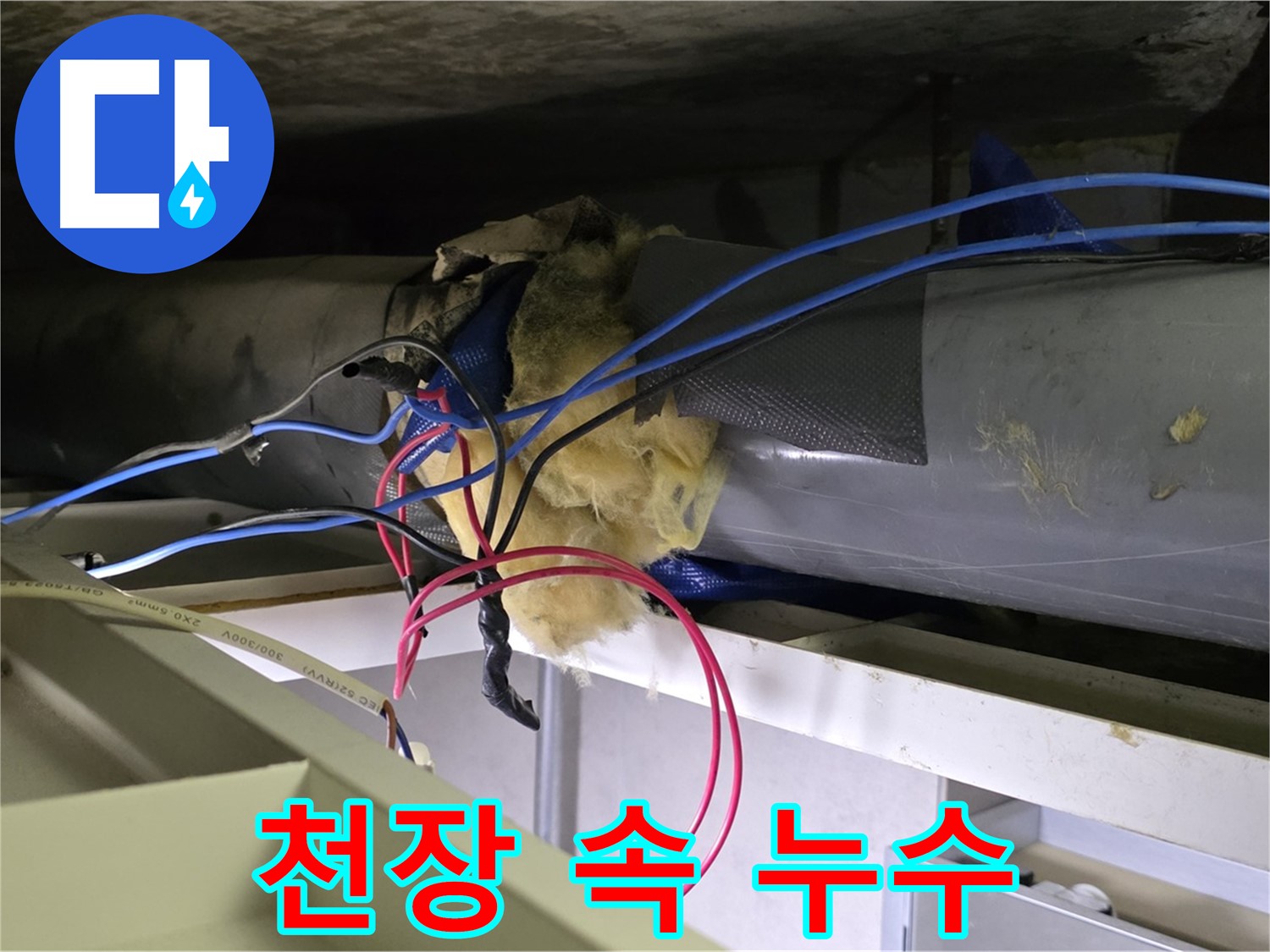 노원구 중계동 라이프청구신동아 아파트 천장 속 숨은 누수 발견 - 꼼꼼한 탐지로 해결