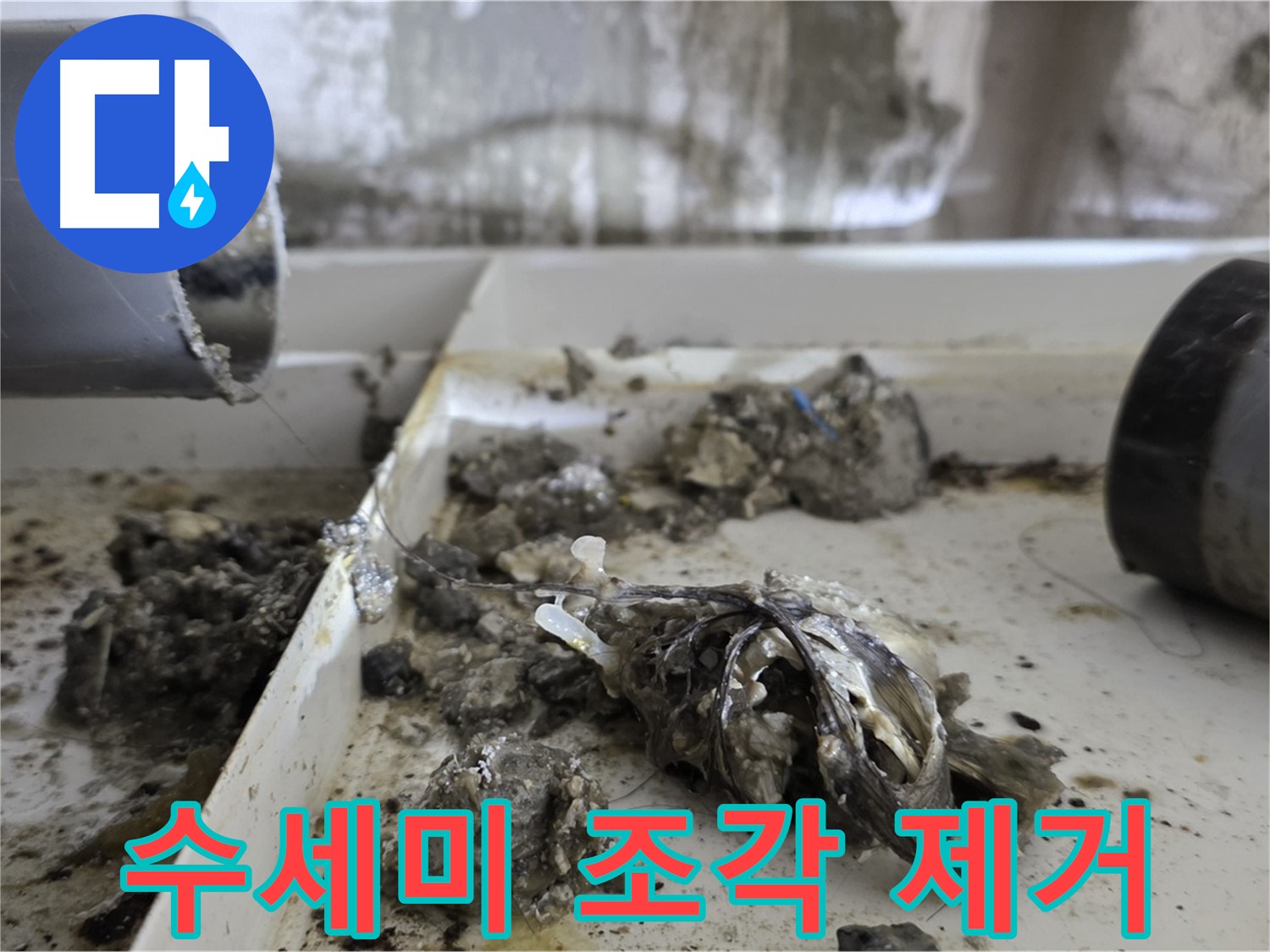 노원구 중계동 라이프청구신동아아파트 - 배관 속 수세미 조각 제거 - 누수 걱정 끝
