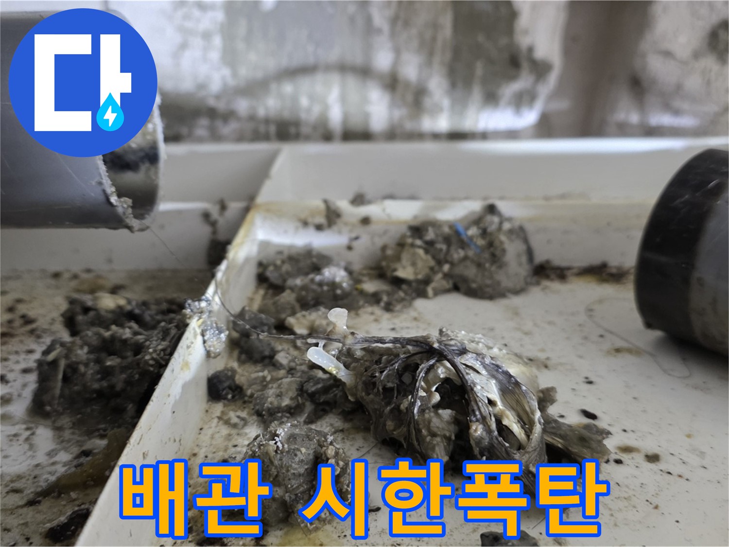 노원구 중계동 라이프청구신동아아파트 - 배관 속 '시한폭탄' 제거, 누수 공포 종식