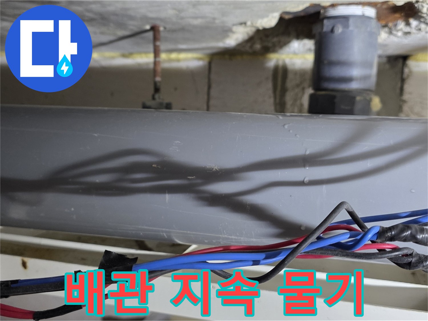 노원구 중계본동 라이프청구신동아 아파트 배관 누수 - 지속적인 물기, 정밀 진단으로 해결!