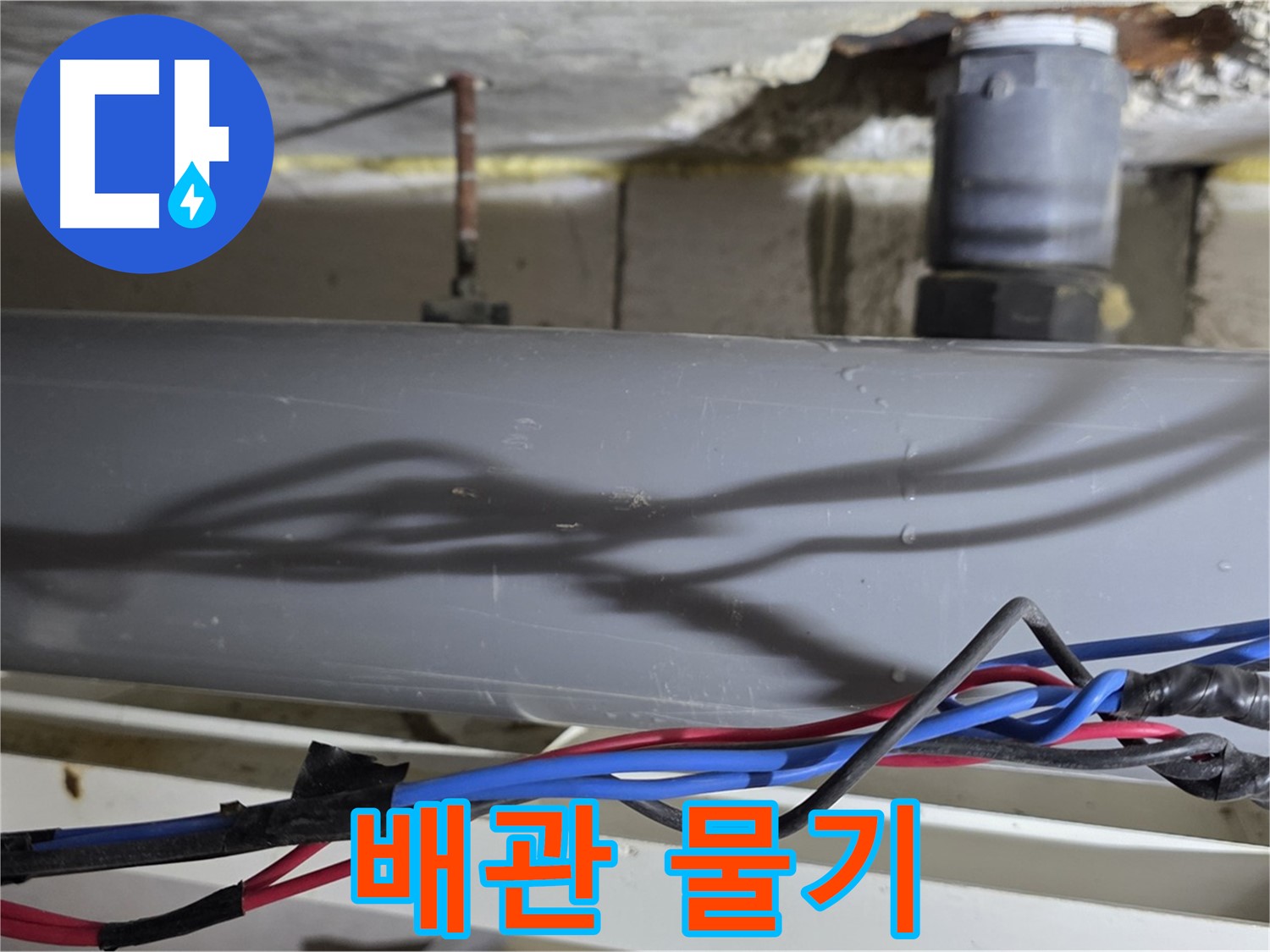 노원구 중계본동 라이프청구신동아 아파트 배관 물기 - 누수? 결로? 빠른 점검!