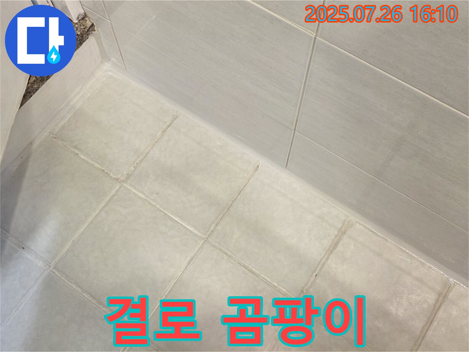 과천 결로 곰팡이 누수 - 곰팡이 제거 및 방지 시공으로 해결!